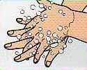 片方の手の平でもみ洗う